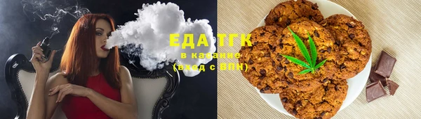 мдпв Богородицк