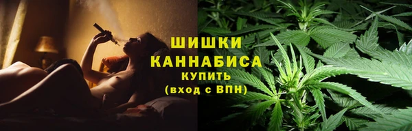 мдпв Богородицк