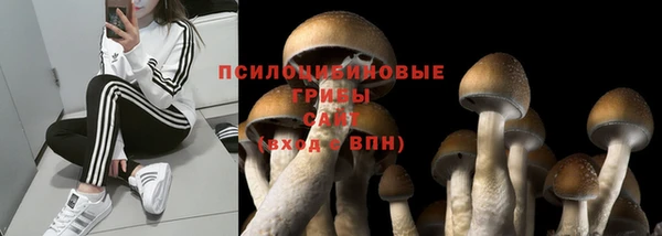 метадон Богородск