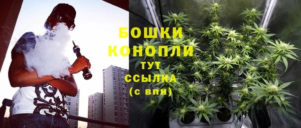 МДПВ Богданович