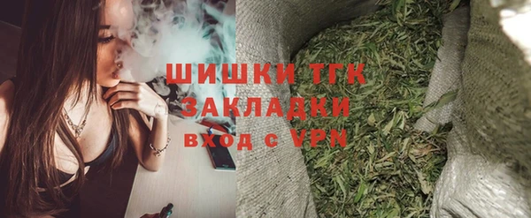 мдпв Богородицк