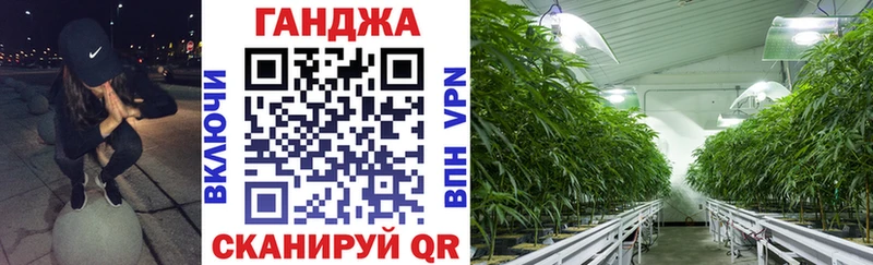 Канабис сатива  что такое   Кораблино 